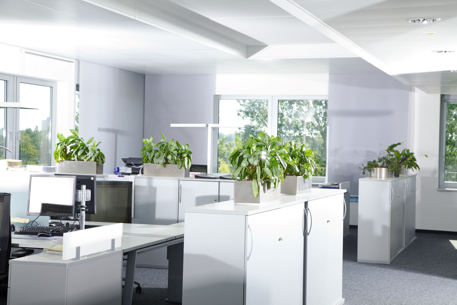 Resume Writing Services Cranbourne South VIC